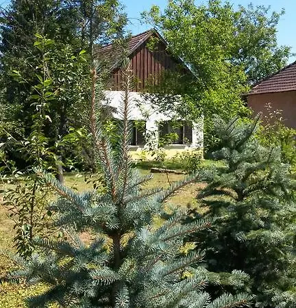 Liget Vendeghaz * Kerkafalva