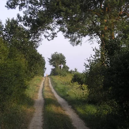 Liget Vendeghaz