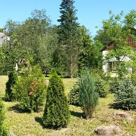 Liget Vendeghaz Apartment Kerkafalva